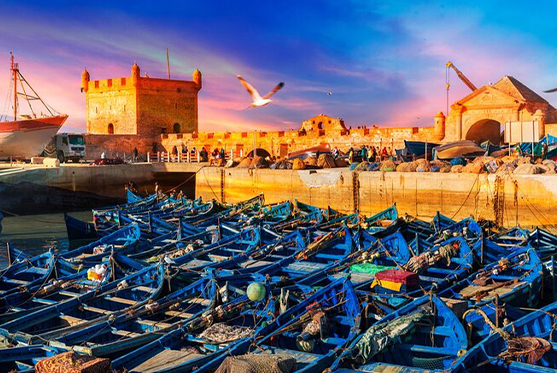 Day trip to Essaouira from Marrakech