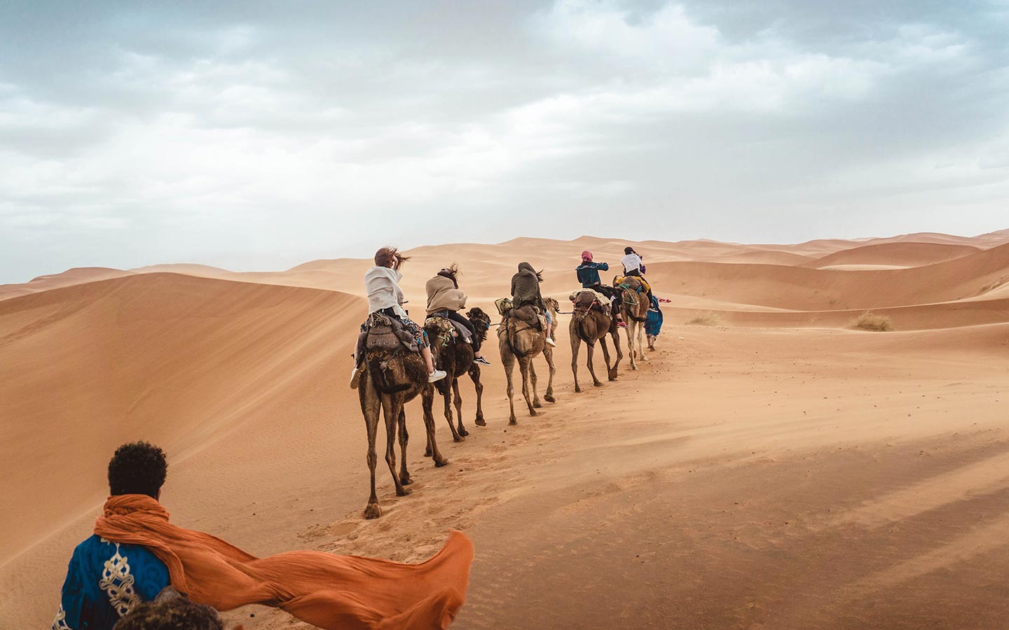 Palmerales del Sahara - Descubre los jardines secretos del desierto