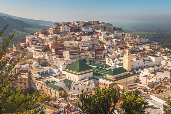 3-day tour from Marrakech to the Sahara desert and Fez, view of camels in dunes