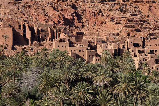 Tour de 4 días al Valle del Draa y desierto desde Marrakech, palmeral y kasbahs