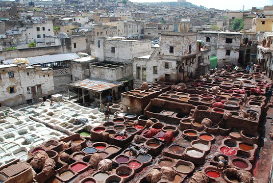 One-day excursion to Fes Medina, cultural heritage