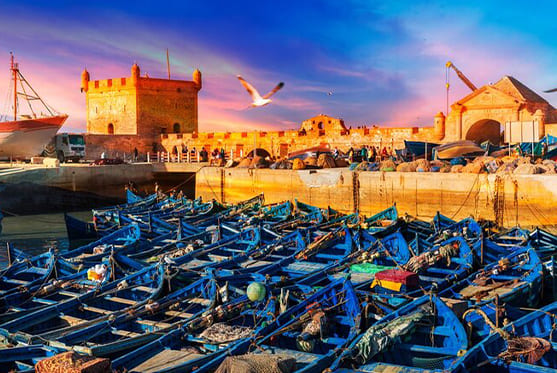 Excursión de un día a Essaouira desde Marrakech